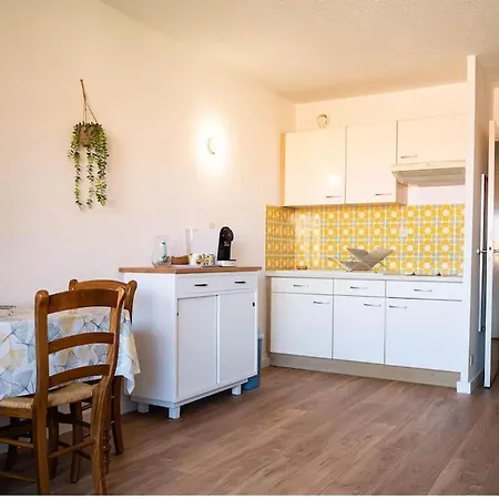 Adorable Studio Cabine Ensoleille Vue Mer * סן-סיר-סור-מר